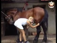 On a farm, a blonde plays with a horse's enormous cock xxx.